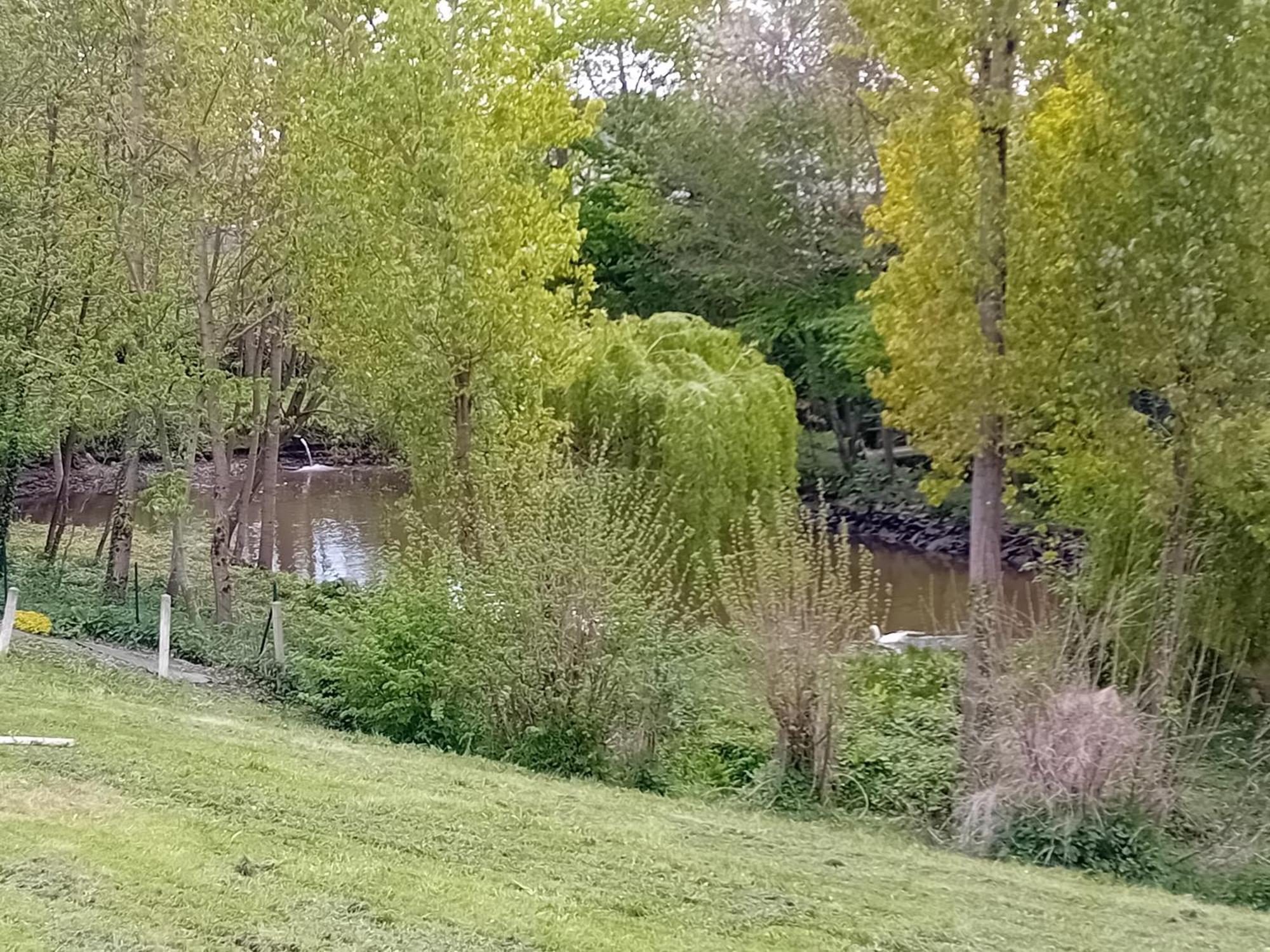 Maison Au Coeur De La Nature Cerisy-la-Foret 외부 사진